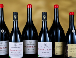 Clos des vignes du Maynes