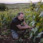 Clos des vignes du Maynes